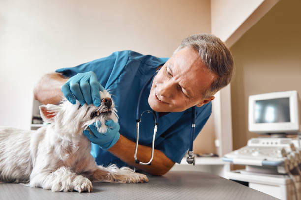 Best Emergency Wisdom Teeth Removal in Mary Esther, FL